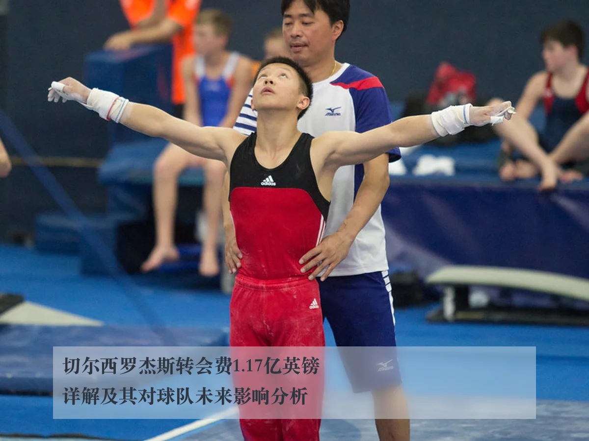 切尔西罗杰斯转会费1.17亿英镑详解及其对球队未来影响分析